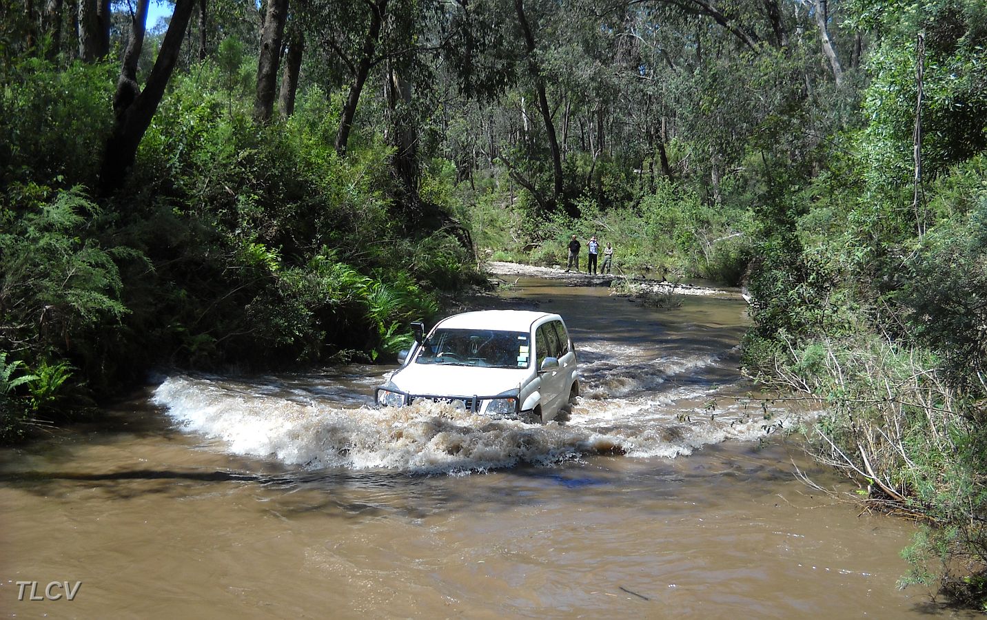 17-Pioneer follows the 4WD track right down the middle of the Ben Cruachan Creek.JPG